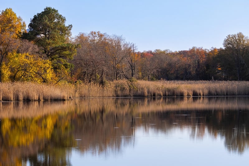 Active Reflection